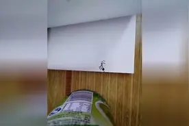 翻页动画够不够创意，简单刺激就这么简单图片