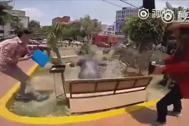 街头恶搞，作死成功。图片