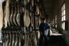 实拍金华火腿制作过程视频封面