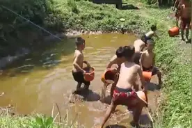 一群小孩在水坑里捉鱼，玩的不亦乐乎图片