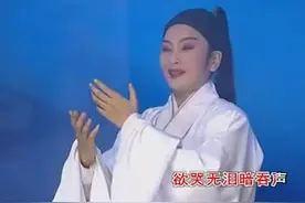 潮剧《赵少卿》选段：一腔怨气恨难平图片