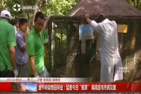 说不出再见！今天，金牛岭动物园搬家！视频封面