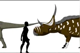 各种恐龙和成年那子对比，直观的告诉你恐龙到底有多大！