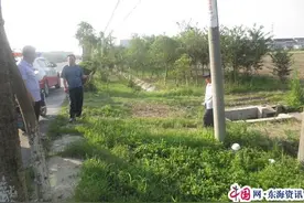 泰兴公路人修复229省道路边渠道助农保夏种图片