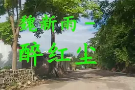 魏新雨一曲《醉红尘》多少次含着泪听完，太伤感了