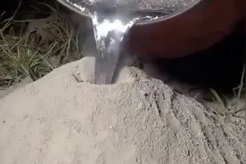小伙把融化的铅倒进蚂蚁窝，凝固后挖出来得到一件“艺术品”视频封面