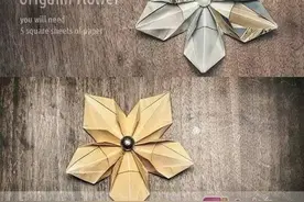 手工折纸五角星花的折法，终于找到了！图片