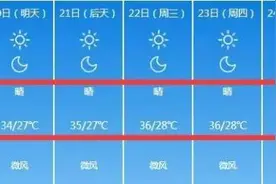 “雨露均沾”完整版！自打入夏以来，我就独得太阳恩宠！图片