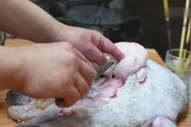 日本顶级料理大师，亲手烹饪名贵的安康鱼，一份刺身能卖数百美元视频封面