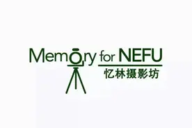 毕业生都去哪儿了？小V带你来看学长学姐的创业故事图片