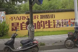 路树果尤青就遭人摇摇摇 园林部门:已喷农药勿食图片