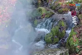 这才是“野外烤鱼”的正确做法，就连鱼的摆放，都非常讲究