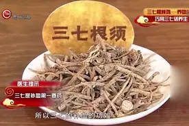 专家教你熟吃三七，巧用三七根炖鸡可养血活血益处多多，太实用了