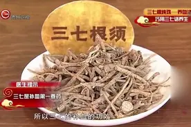 专家教你熟吃三七，巧用三七根炖鸡可养血活血益处多多，太实用了