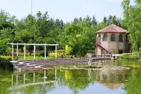 新活动揭秘！军事夏令营里是啥样？名额所剩无几，抓紧时间报名了！图片