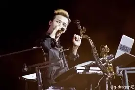 沦为一个Vip脑残粉，没什么不好图片