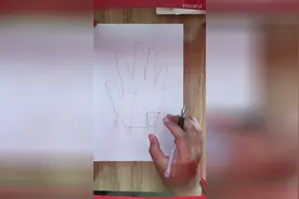 中医诊断-手诊-掌纹看健康(3)14条掌纹线的说明