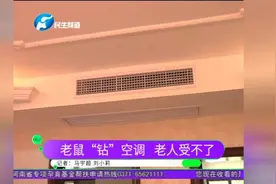 老鼠“钻”空调 老人受不了视频封面