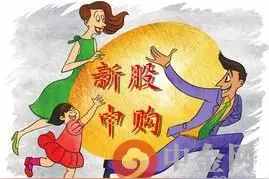 股票入门：新股如何申购图片