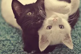 快收藏！各血型女必备的防狼术！图片