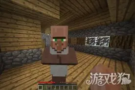 我的世界怎么生孩子 村民繁殖经验分享图片