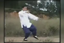 傅清泉传统杨式太极拳85式（带口令）全套演练 标清视频封面