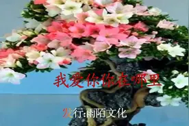 一曲：《我爱你你在哪里》送给你，好听了视频封面