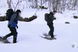乡野生存 贝爷用树枝做雪地鞋，雪太深了！视频封面