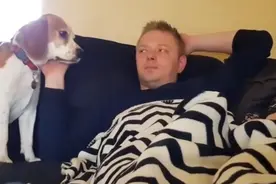 主人躺在沙发上不理狗狗，结果狗狗这个动作超暖心的！视频封面