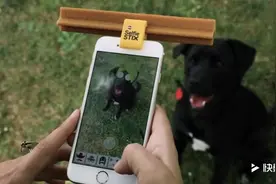狗狗自拍神器，有了它再也不用担心拍照时宠物乱动了