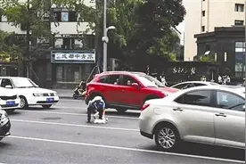 猫咪入车流被吓傻 有爱交警两次护送至安全区域图片