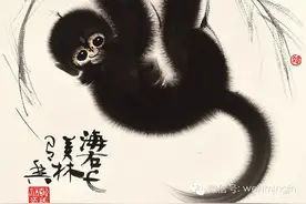 猴年说猴 | 猿猨猱狙—是的，这些都是猴图片