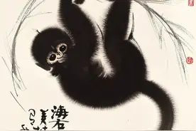猴年说猴 | 猿猨猱狙—是的，这些都是猴图片
