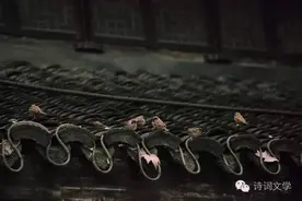物是人非，流光易逝，用诗词怎么说？图片