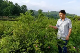 开宝马的白领到贫困村任村主任图片