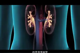 尿毒症患者福音：“人工肾”即将上市，告别透析指日可待！视频封面