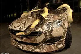 史上最恐怖的车！你绝对不敢坐~图片