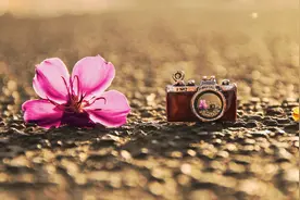 为什么老婆还是别人家的好，看完肯定不后悔！图片