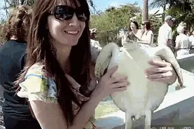 放开你的手，不要摸我图片