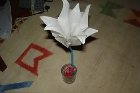 网友将LED灯放到盐水里，片刻后灯泡居然开始发出了亮光图片