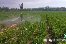菜吧：​过量使用农药化肥对人体究竟有怎样的危害？图片
