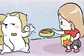 为什么汪星人不喜欢吃狗粮？图片