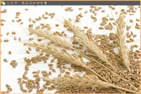 原来这9种谷物还有治病的作用！图片