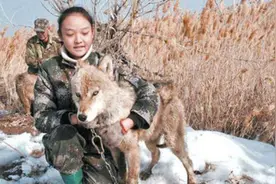 中国狼女传奇,关在狼笼里的女孩图片