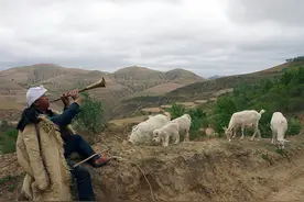 唢呐响遍陕北的千沟万壑山峁沟洼图片