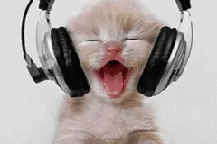 高考成绩出炉，通州文理状元竟都出自这一所学校！图片