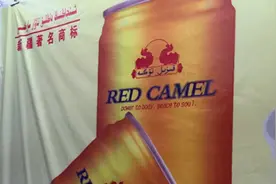 骑摩托去新疆路上的奇遇，有个女驴友带着婚纱，随时准备嫁人！图片