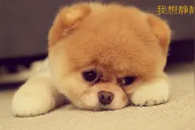 兄弟，你就接吧，都被你震湿了。图片