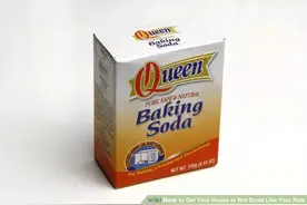 家有狗除味绝技图片