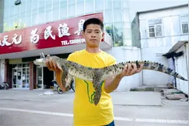 潜江市民公园钓鱼发现鳄鱼图片